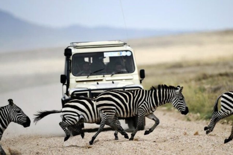 5 Days Tarangire, Serengeti, Ngorongoro and Lake Manyara Group Joining Safari