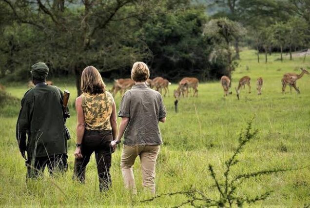 9 Days Best of Uganda Safari