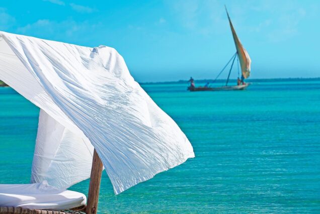 7-Day Tanzania Safari and Zanzibar Beach Escape