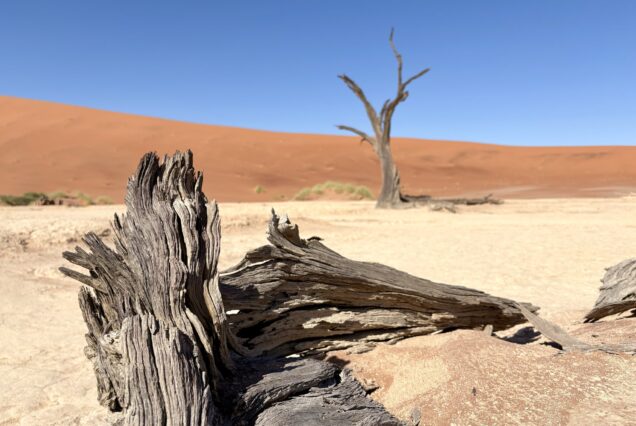12 Days Windhoek, Sossusvlei, Swakopmund, Damaraland and Etosha Namibia Safari