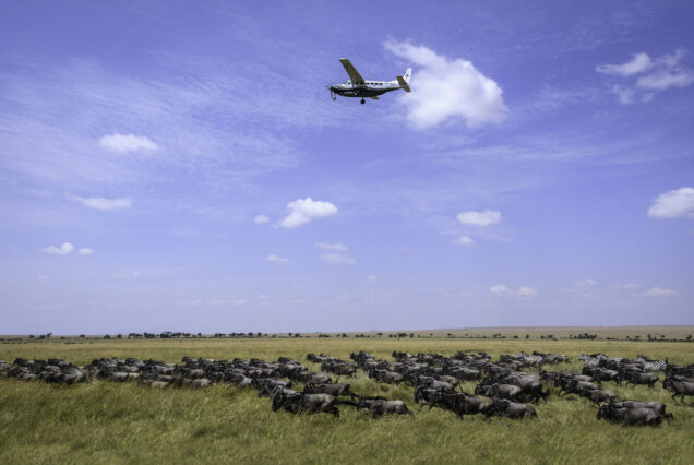 7-Day Tanzania Safari and Zanzibar Beach Escape