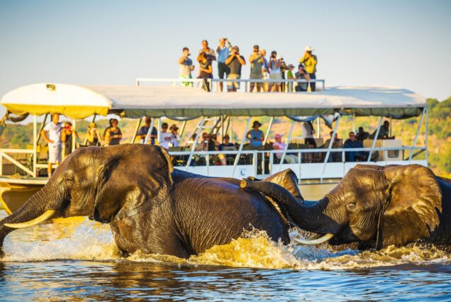 4 Days Chobe National Park & Okavango Delta Botswana Safari
