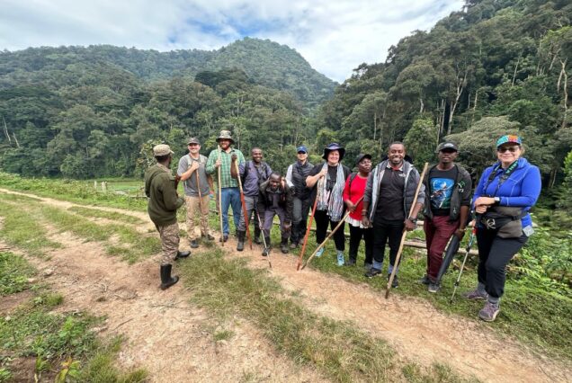 3 Days Gorilla Trekking Experience in Uganda
