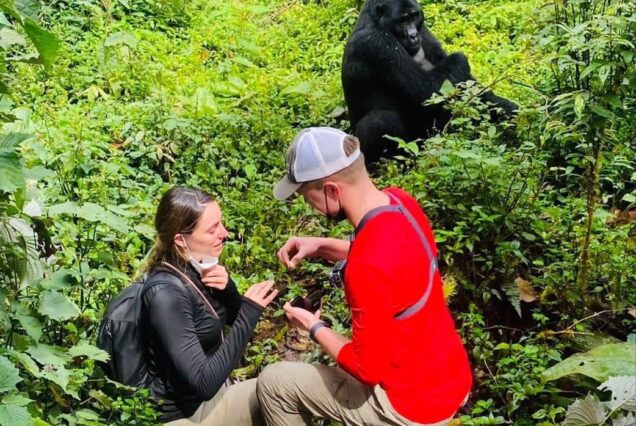 3 Days Gorilla Trekking Experience in Uganda