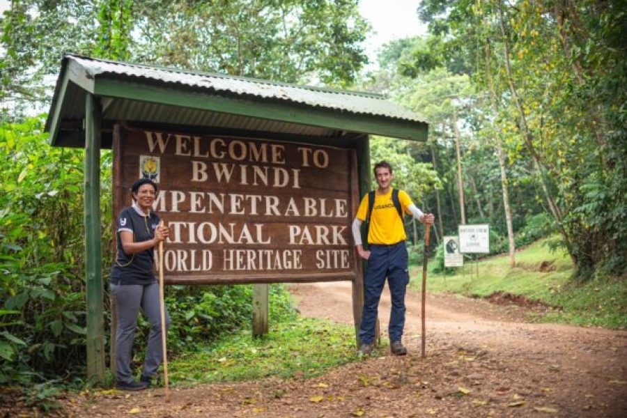 3 Days Gorilla Trekking Experience in Uganda