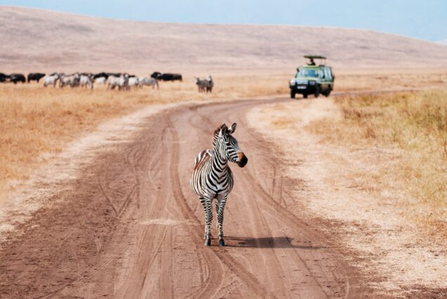 4 Days Ngorongoro & Serengeti Safari