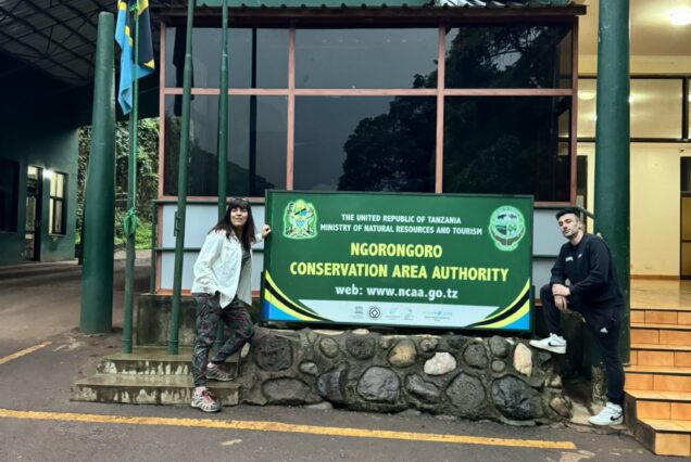 4 Days Ngorongoro & Serengeti Safari