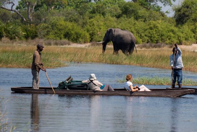 4 Days Chobe National Park & Okavango Delta Botswana Safari