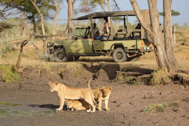 7-Day Tanzania Safari and Zanzibar Beach Escape