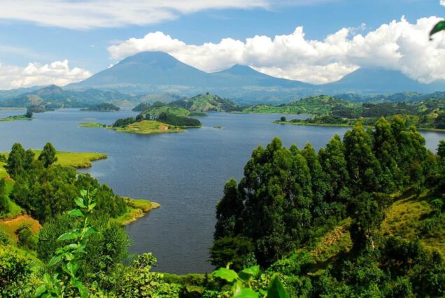 4 Days Lake Mburo Safari, Gorilla Trekking in Bwindi and Lake Bunyonyi Tour Uganda
