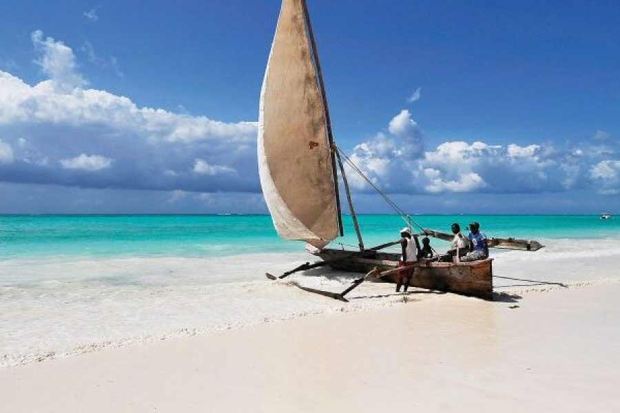 7-Day Tanzania Safari and Zanzibar Beach Escape