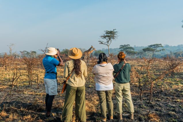 9 Days Best of Uganda Safari