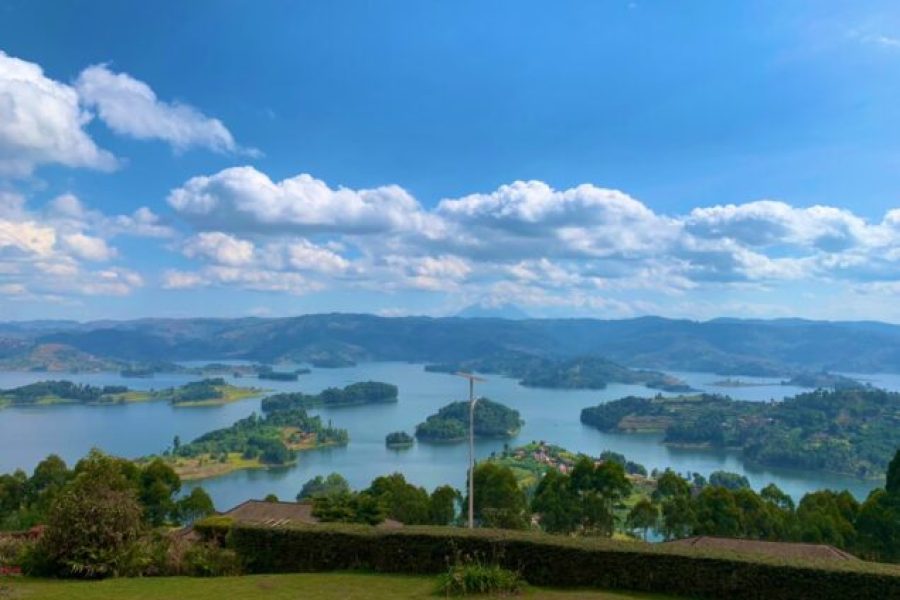 4 Days Lake Mburo Safari, Gorilla Trekking in Bwindi and Lake Bunyonyi Tour Uganda