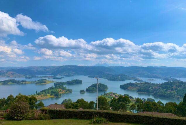 4 Days Lake Mburo Safari, Gorilla Trekking in Bwindi and Lake Bunyonyi Tour Uganda