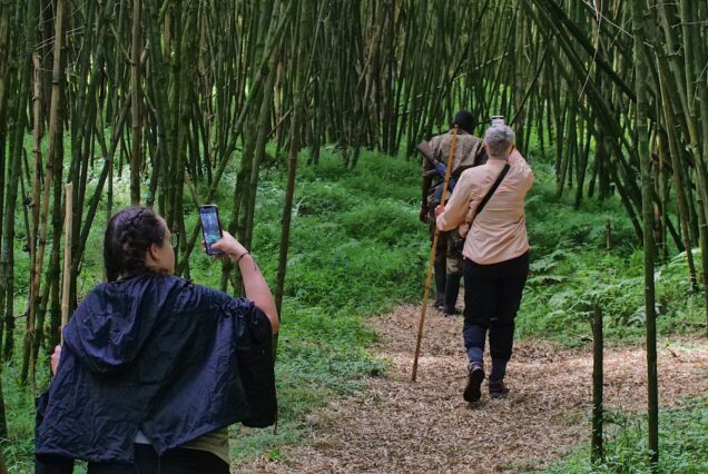 4 Days Kibale Chimpanzee Tracking & Bwindi Gorilla Trek Uganda Safari