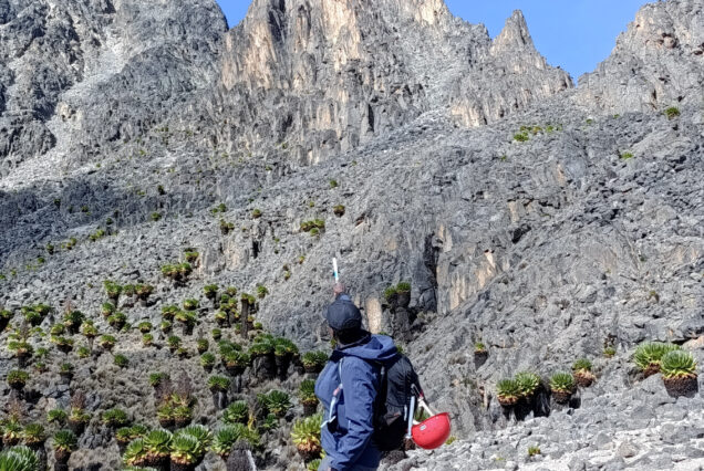 4 Days Mt. Kenya Climb (Sirmon to Chogoria route)
